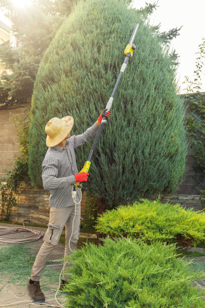 Best Commercial Tree Services  in Royalton, MN